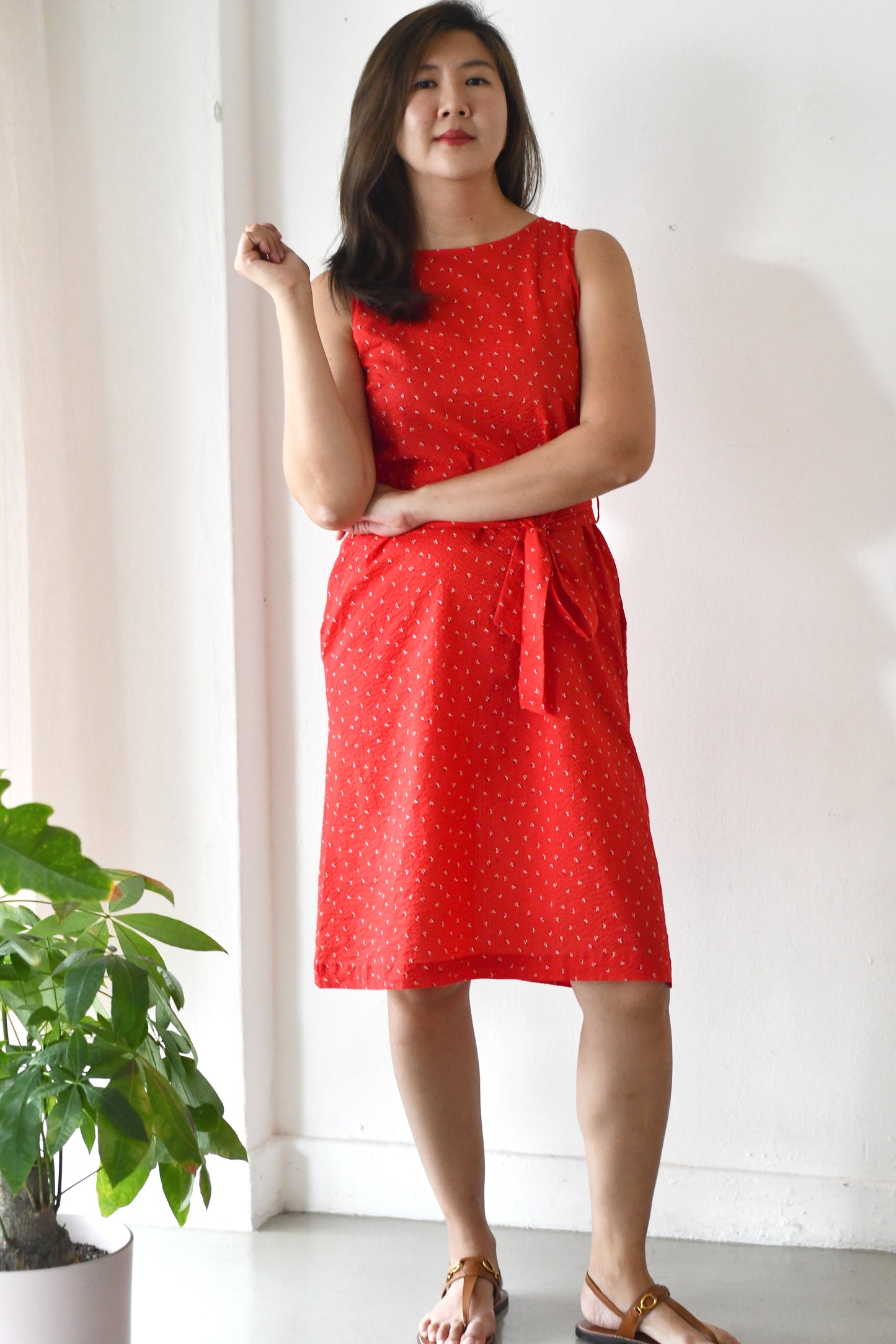 Ease Shift Dress / Red Dazzle