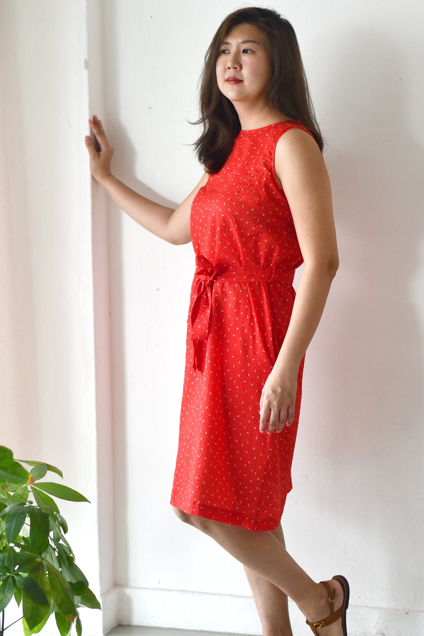 Ease Shift Dress / Red Dazzle
